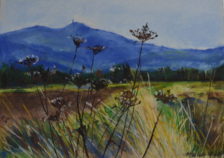 Déšť v Beskydech.